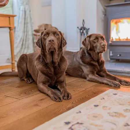 Gate House Σπίτι διακοπών