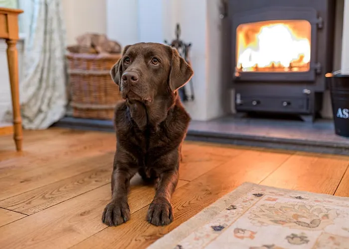 Ferienhaus Gate House *